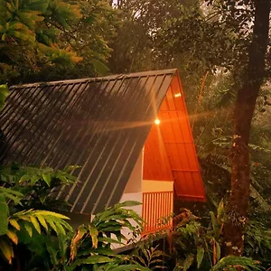 Homestay Teadrops Plantation 