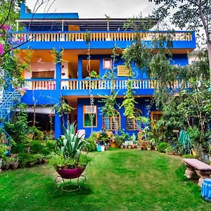 Homestay The Coral Tree Boutique 